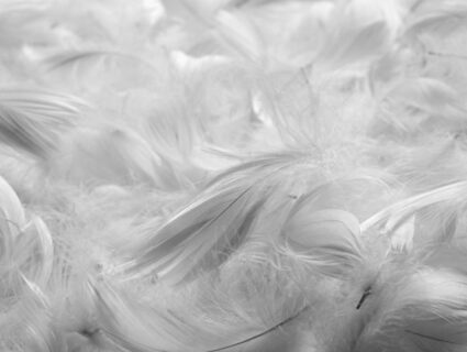 Подушка Nature’S-Natura Sanat Для женщин 70х70