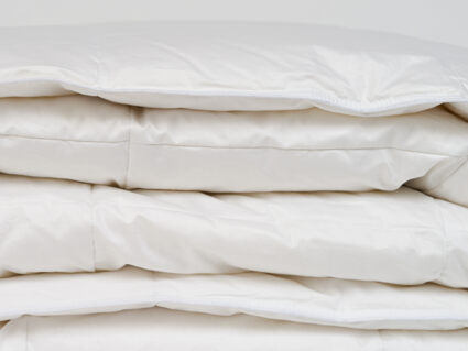 Одеяло Nature’S-Natura Sanat Воздушный пух всесезонное 160х210