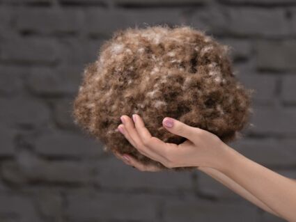 Одеяло German Grass EXCLUSIVE COTTON EIDER DOWN теплое 240х260