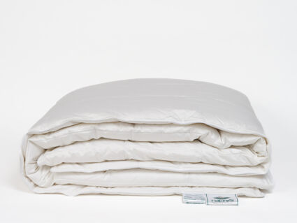 Одеяло Nature’S-Natura Sanat Воздушный пух всесезонное 160х210